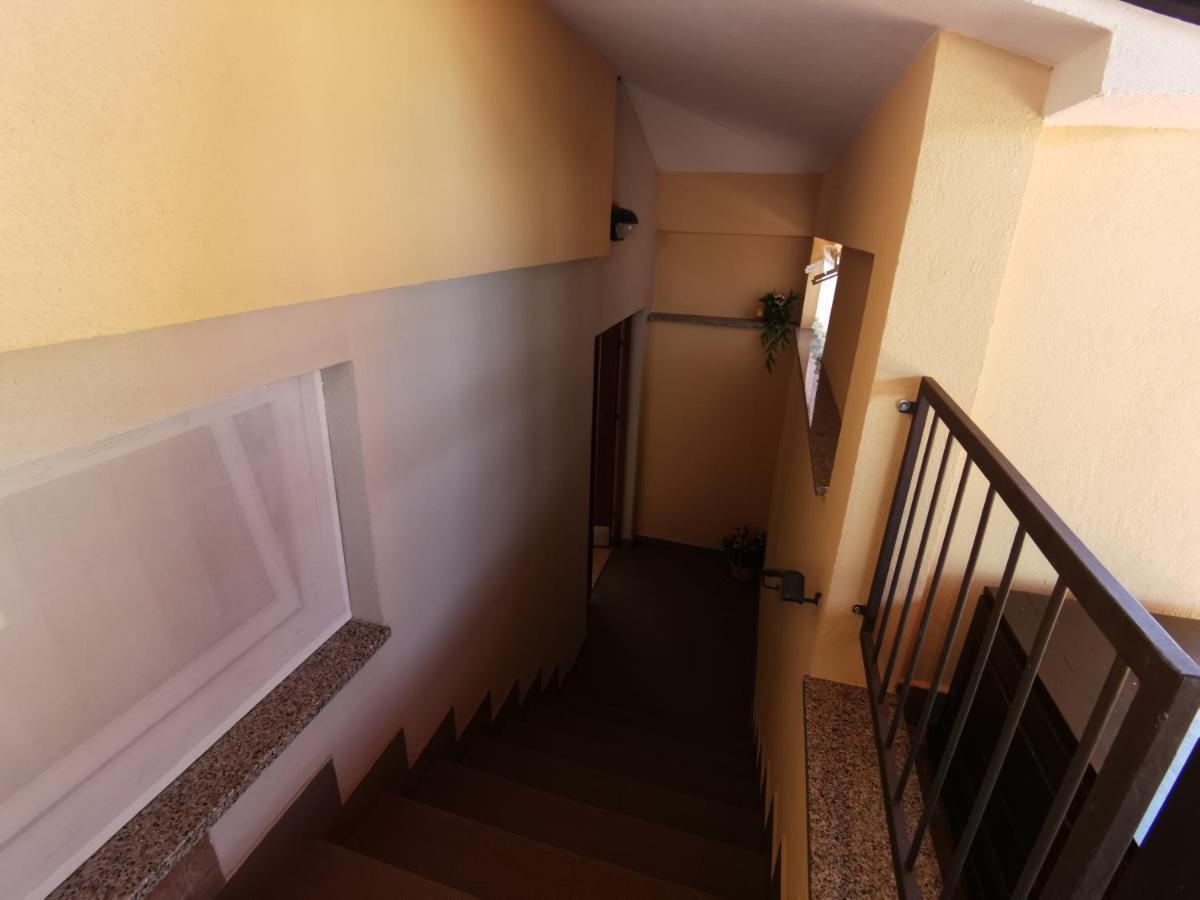 Apartmani Berber Babici エクステリア 写真